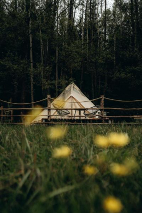 Glamping U Lesa, Rychnov Nad Kneznou